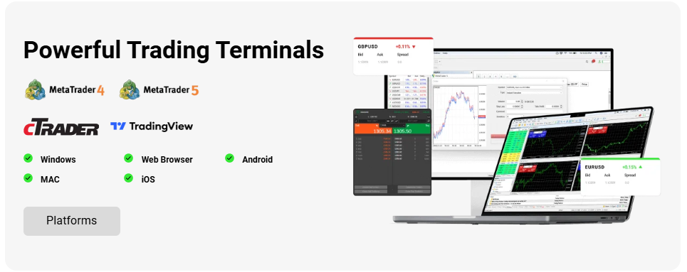 Powerful Trading Terminals